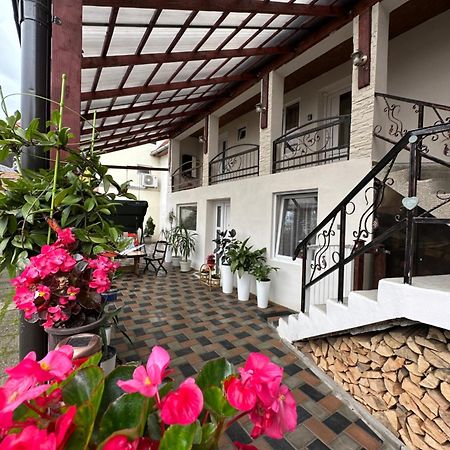 Hotel Casa Rio à Sighişoara Extérieur photo